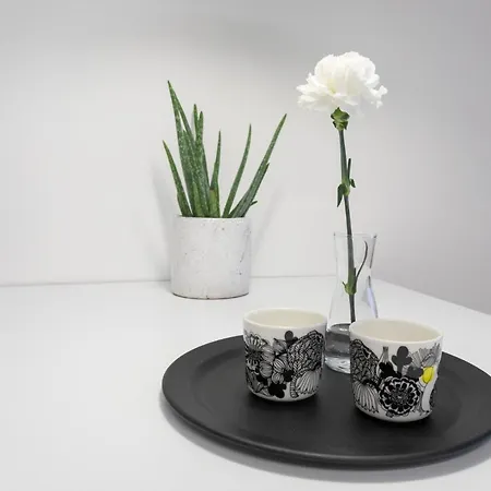 Vasko Luxurious Suites, Davvi アパート *