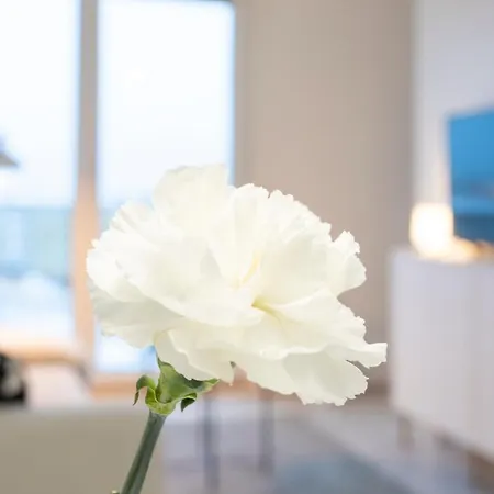 Vasko Luxurious Suites, Davvi アパート ロヴァニエミ